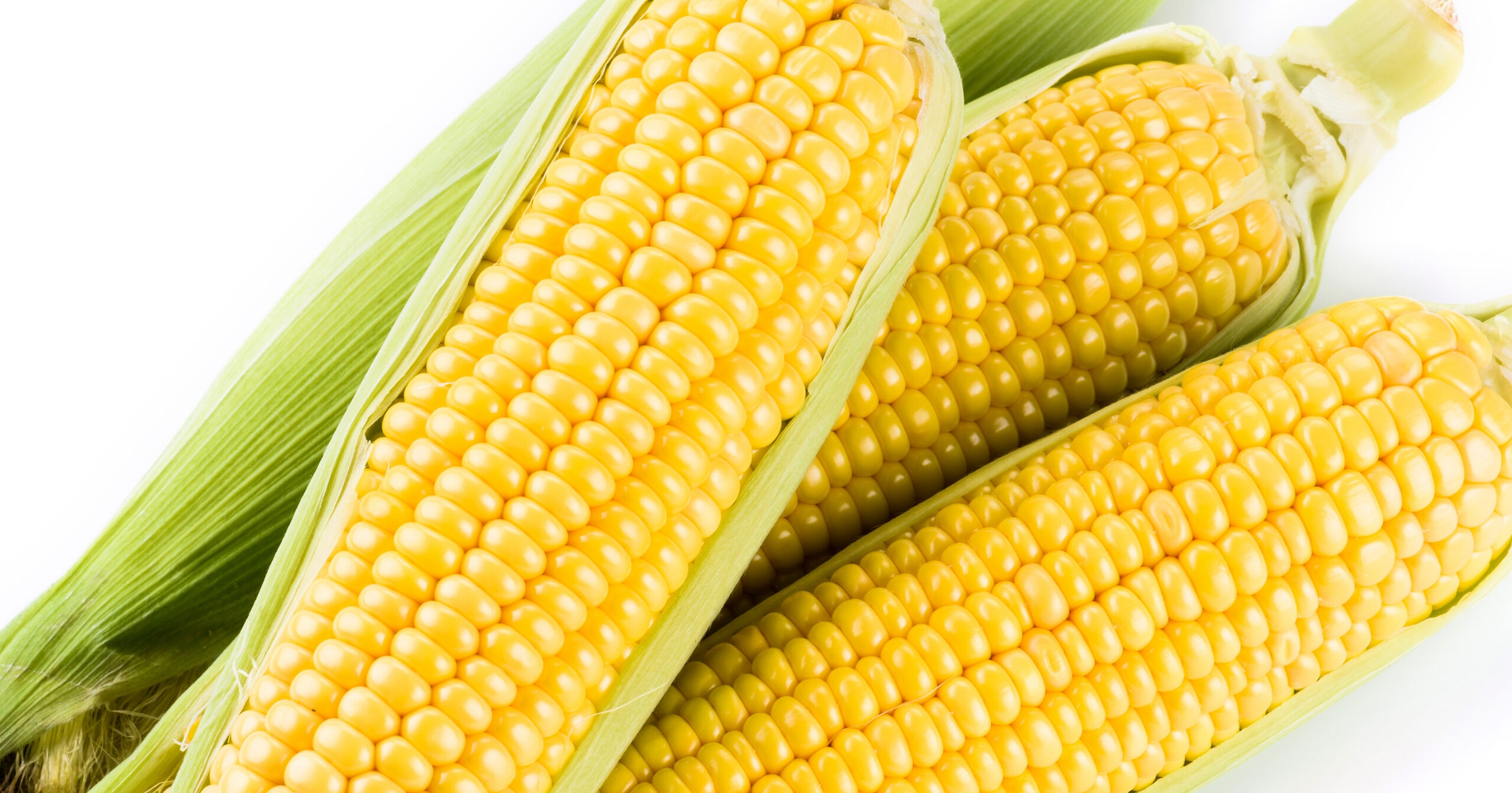 九州佐賀国際空港「sagair」前イベントスペースにて 今が旬の白石町「スイートコーンまつり」を開催します！