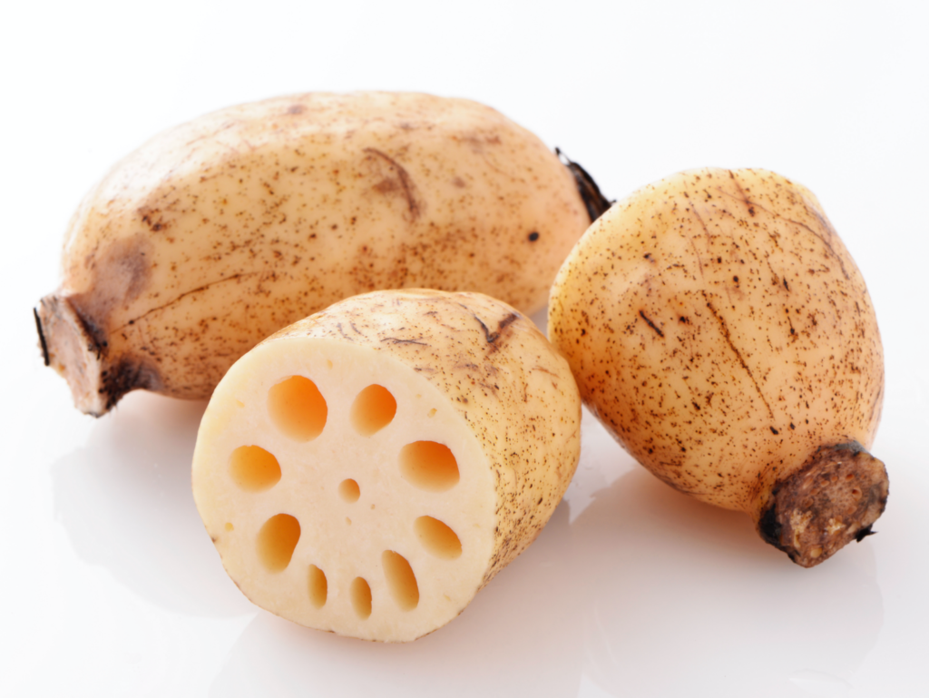 九州佐賀国際空港「sagair」前イベントスペースにて「しろいしれんこん 100周年記念祭」を開催します！ 祝・しろいしれんこん100周年記念！ 先着100名様にみのりちゃんグッズをプレゼント！