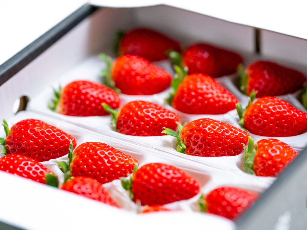 佐賀県のブランド苺「いちごさん」