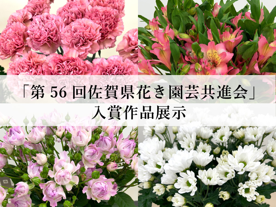 佐賀県産花きの美しさを競う「第56回佐賀県花き園芸共進会」の入賞作品を、SAGA MADOで展示します！