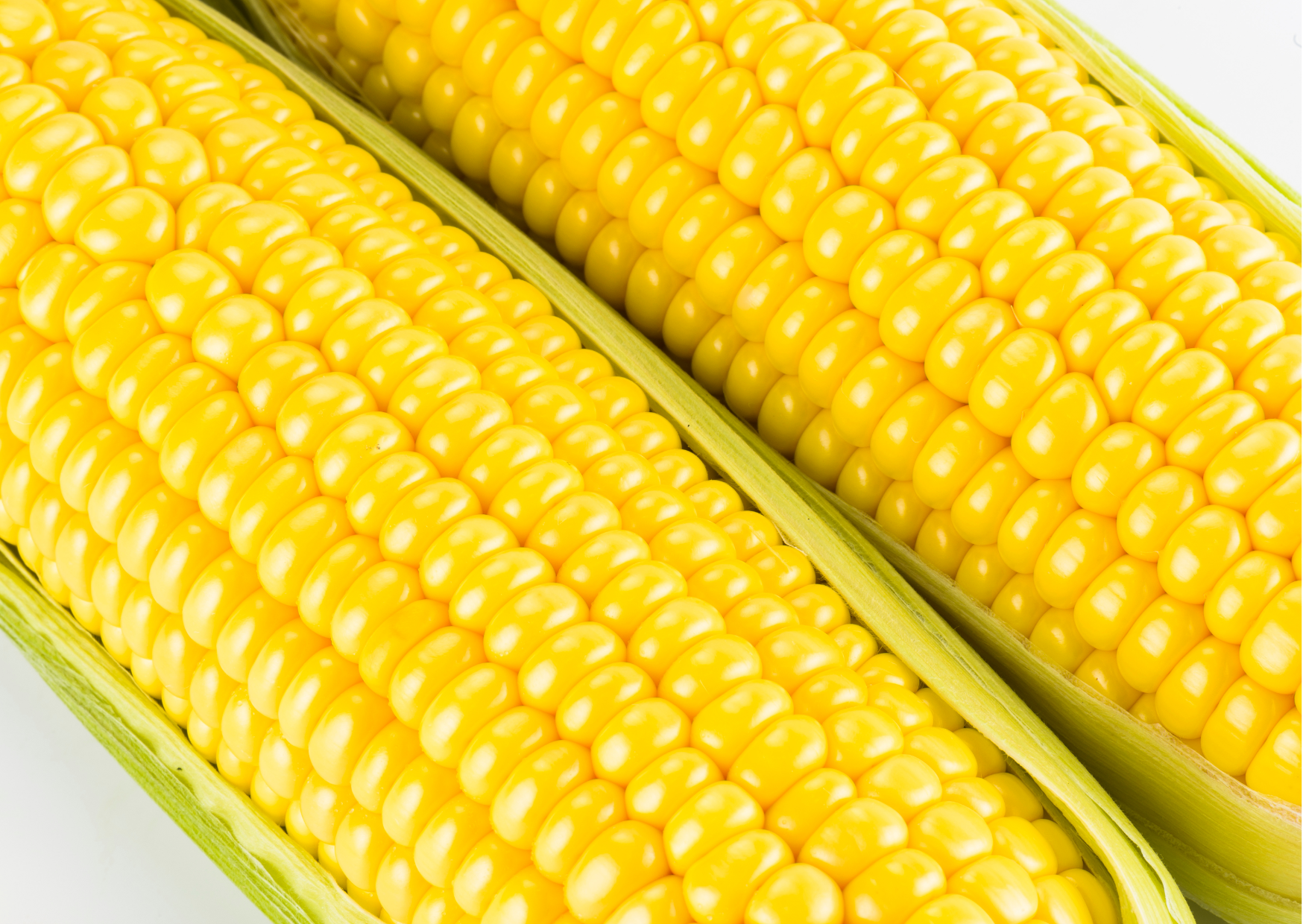 九州佐賀国際空港「sagair」前イベントスペースにて 今が旬の白石町「スイートコーンまつり」を開催します！