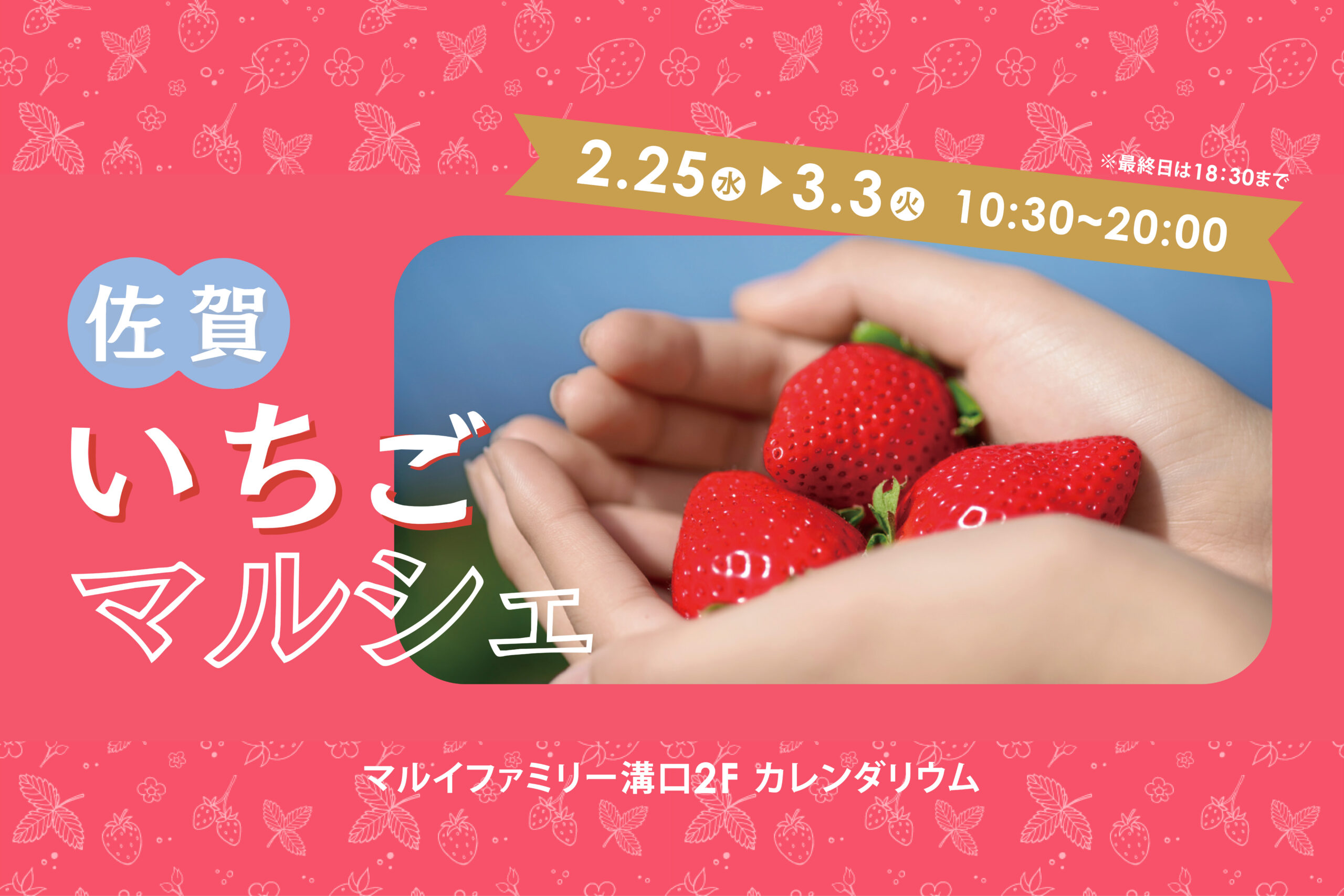 赤・白・ピンク！佐賀のいちご8品種を食べ比べ！！ 大人気イベントが3年ぶりに帰ってくる！！