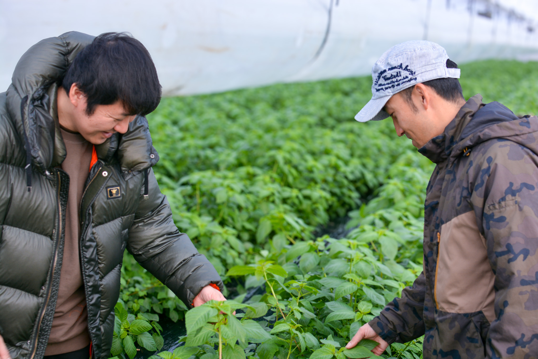 産地視察で関係を育む
