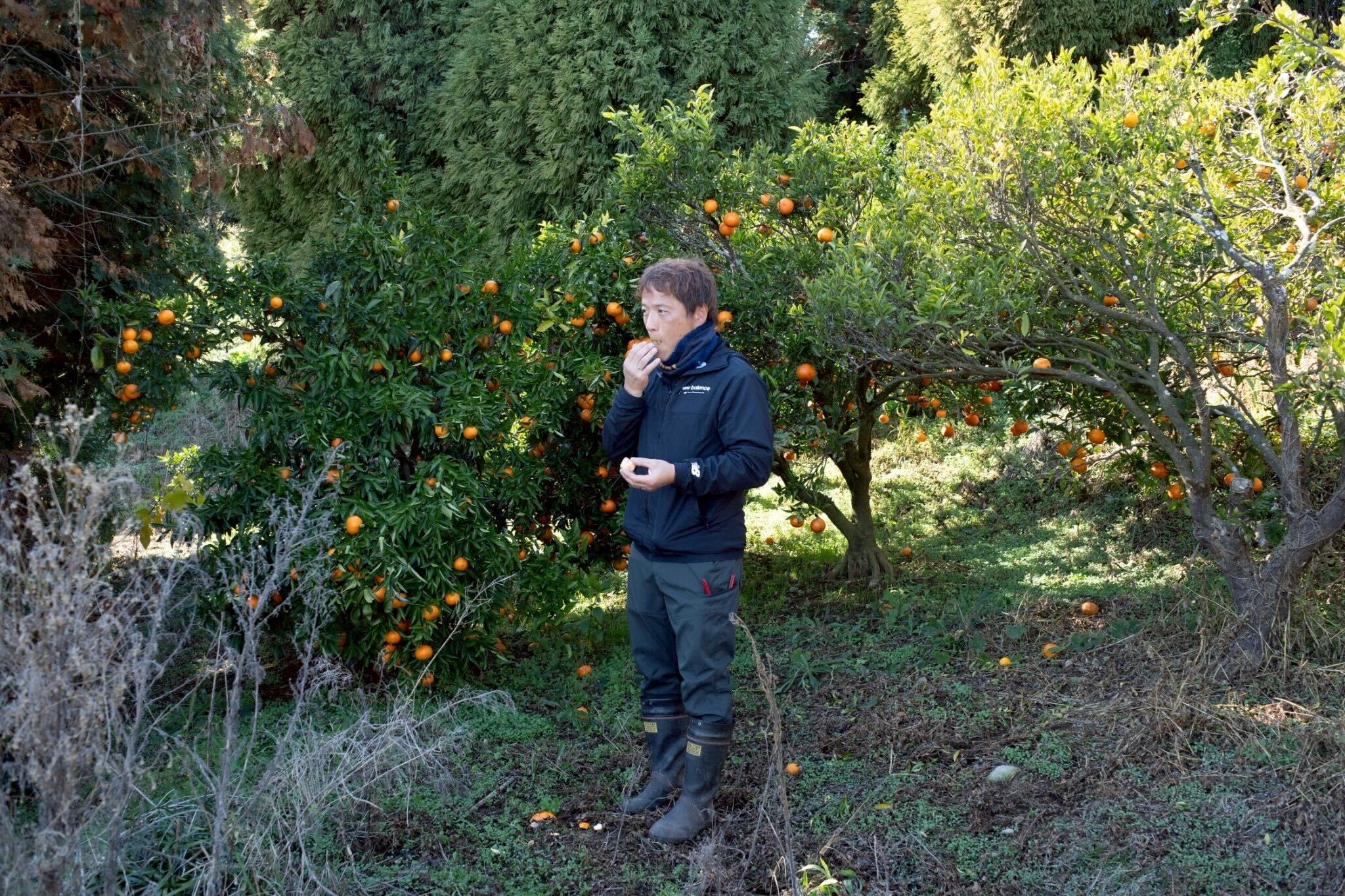 田島柑橘園＆加工所