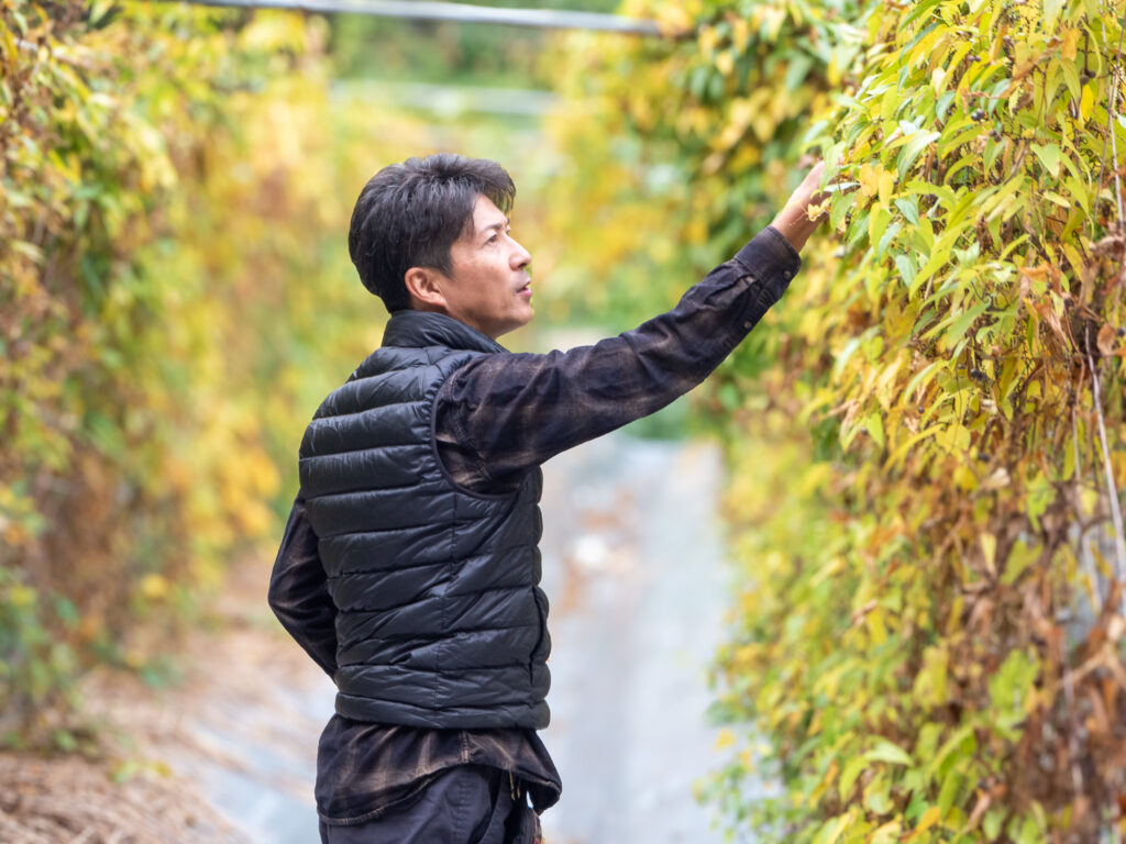 「最高のプレゼン」は、畑で語ること。一流シェフの「産地訪問」が拓いた、銀座への道