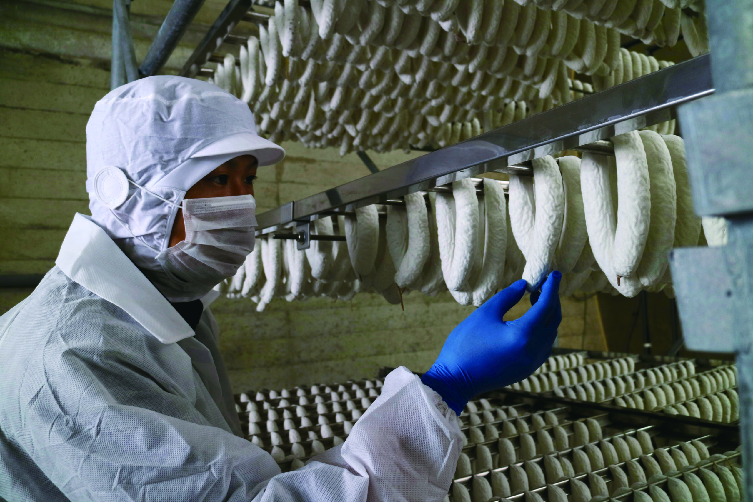 唐津くん煙工房